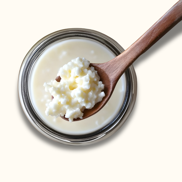 Kefir Grains (50g)