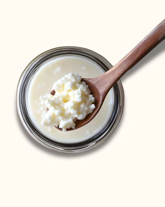 Kefir Grains (50g)